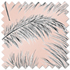 Pampas Grass, Sorbet - Roman Blind